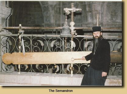 The Semandron
