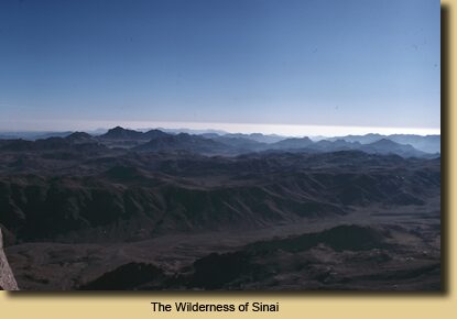 The Wilderness of Sinai