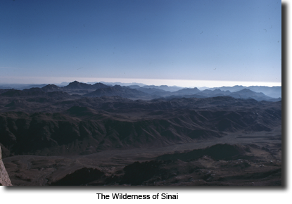 The Wilderness of Sinai