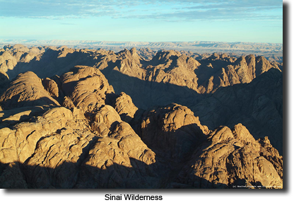 The Wilderness of Sinai