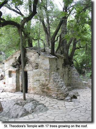 St. Theodora’s Temple with 17 trees growing on the roof.